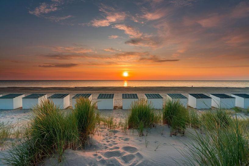 Beautifull House Beach Life 47 De Cocksdorp  Esterno foto
